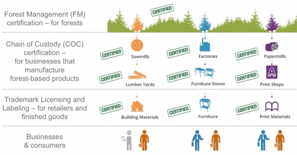 FSC traceability system for paper packaging productio