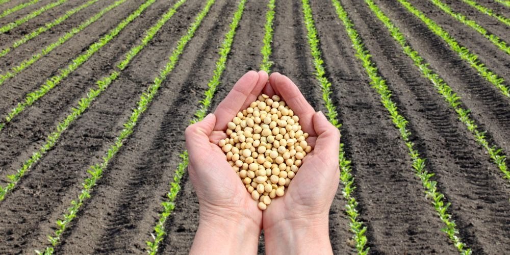 Soy ink: the environmentally friendly cornerstone of sustainable paper packaging printing