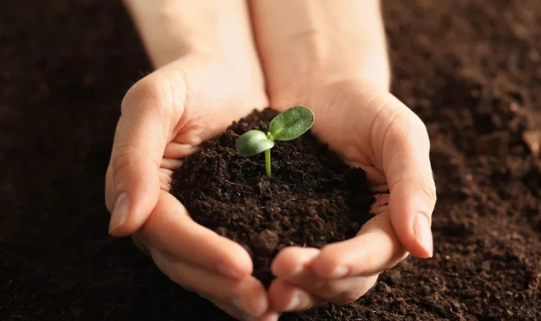 How to Efficiently Compost Paper Boxes - A Professional Guide for Crown Win Paper Box Manufacturers