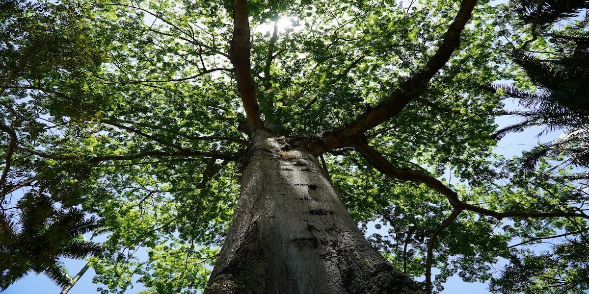 Practical Application of Biodegradable Composite Packaging: Successful Case of Crown Win Box Manufacturer